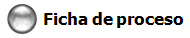 Ficha de proceso